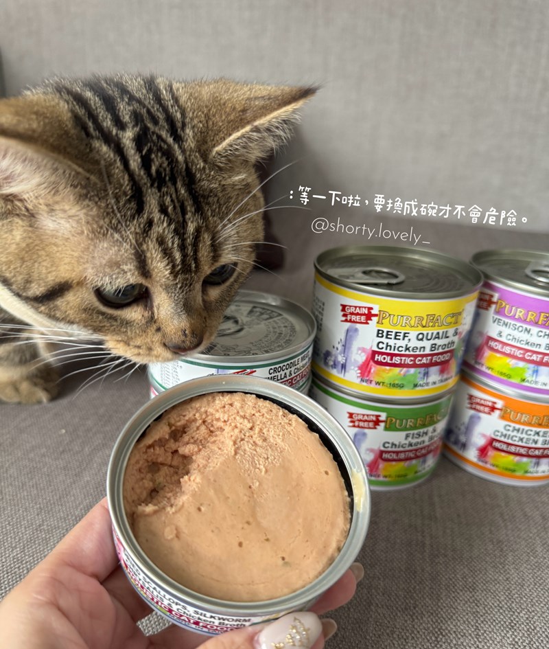 女人知己試用大隊,口碑行銷,部落客行銷,PURRFACT 波菲特貓用主食罐,主食罐,PURRFACT波菲特,貓主食罐,貓罐,PURRFACT波菲特貓用主食罐,魚肉蔓越莓主食罐,鮮嫩雞主食罐,鹿肉雞肉主食罐,牛肉鵪鶉貓主食罐,干貝蠶蛹配方,鱷魚肉白木耳配方,雞肉魚肉配方,安心鶉配方,評價,體驗,適口性佳,心得,成貓適用,高齡貓適用,質地是慕絲狀